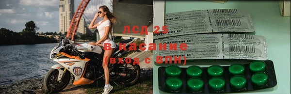 ALPHA PVP Вязьма