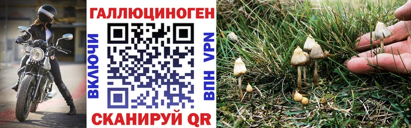 Галлюциногенные грибы Magic Shrooms  Галич 